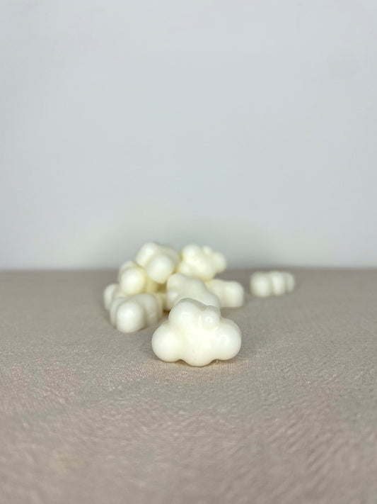 Wax Melts